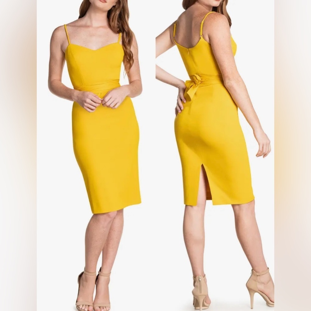 NWOT Dress The Population Veronique Tie Back Sleeveless Dress Belted Dress sz S